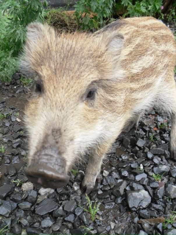 Игорь Кравченко фотография #37