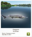 Степан Вівчар фотография #39 (источник - https://vk.com/id147025983)