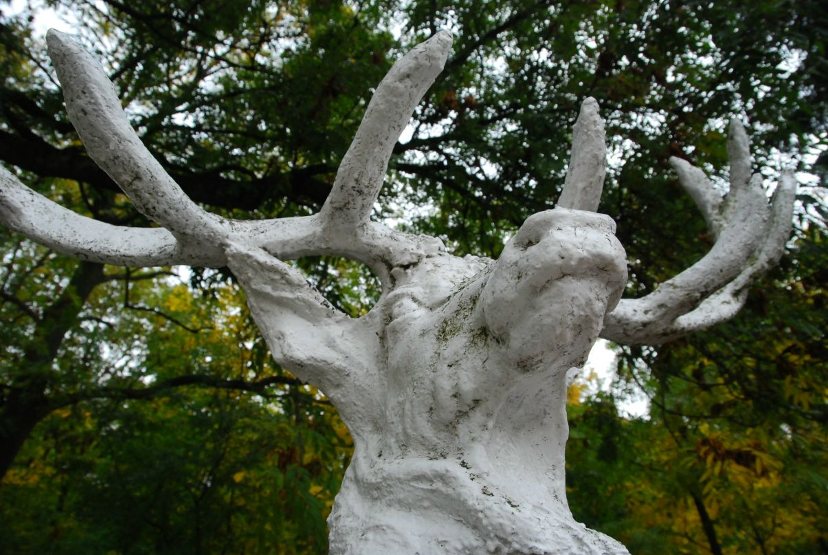 Оля Козерацька фотография #17