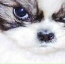 Віка Воловник фотография #34 (источник - https://vk.com/id89563626)