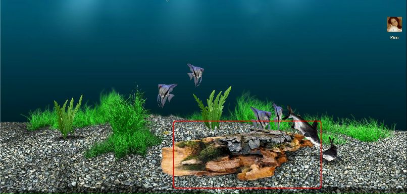 Коля Ободинский фотография #9