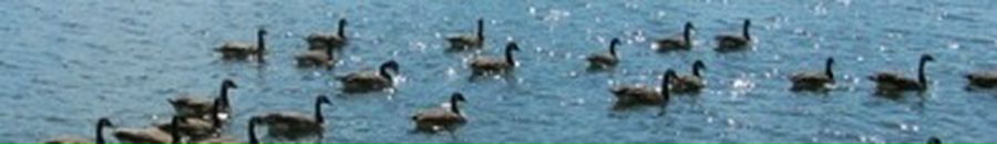 Анастасия Верес фотография #26 (источник - https://vk.com/id42695295)