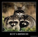 Макс Елисеев фотография #10 (источник - https://vk.com/id98101980)