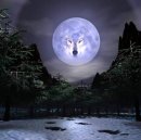 Дед Арчибальд фотография #17 (источник - https://vk.com/id4739246)