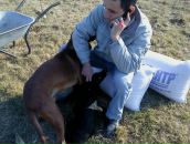 Іштван Сюч фотография #45 (источник - https://vk.com/id33309332)