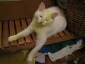 Фотография Персиц Анны