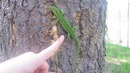 Фотография Литвиновой Александры