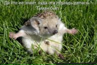 Олексій Колачук фотография #6 (источник - https://vk.com/id32074268)