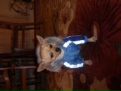 Надя Іщак фотография #34 (источник - https://vk.com/id76429397)