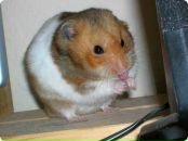 Фотография Лукьяновой Натальи