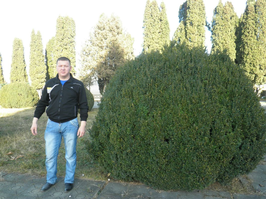 Урал Муллагилдин фотография #45