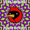 Катько Бирюкова фотография #43 (источник - https://vk.com/id26086263)