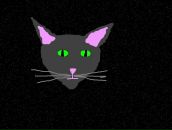 Фотография Башилиной Татьяны