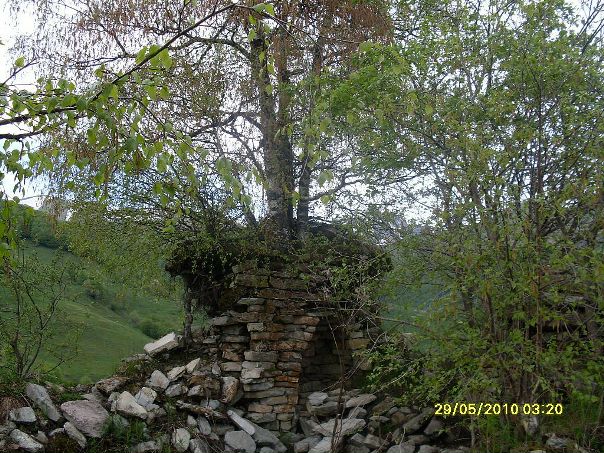 Виктор Багаев фото №20