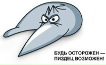 Фотография Самарухи Елены