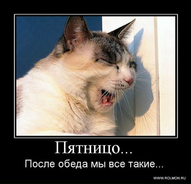 Дима Tryasunoff фото №39