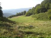 Міша Motsa фотография #15 (источник - https://vk.com/id52852421)