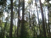 Юлія Петренко фотография #38 (источник - https://vk.com/id7521208)