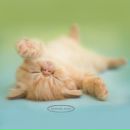 Фотография Сухановой Маришки