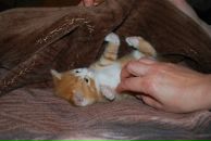 Андрей Рыбкин фотография #20 (источник - https://vk.com/id2490301)