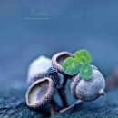 Фотография Васючковой Регины