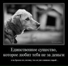 Остап Ігорович фотография #10 (источник - https://vk.com/id19807339)