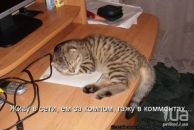 Петро Кутаєв фотография #18 (источник - https://vk.com/id21056255)