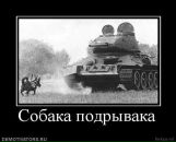 Андрій Філевський фотография #13 (источник - https://vk.com/id8253747)