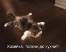 Степан Боєчко фотография #35 (источник - https://vk.com/id115283687)