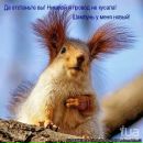 Фотография Фёдоровой Ольги