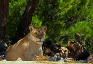 Фотография Куликовой Ирины