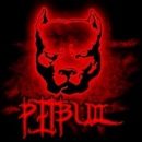 Фотография Тихонова Романа