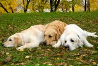 Фотография Моховой Марии