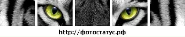 Ростислав Андрійович фотография #13 (источник - https://vk.com/id30328813)