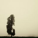 Фотография Шварц Наташи