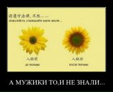 Фотография Коробова Михаила