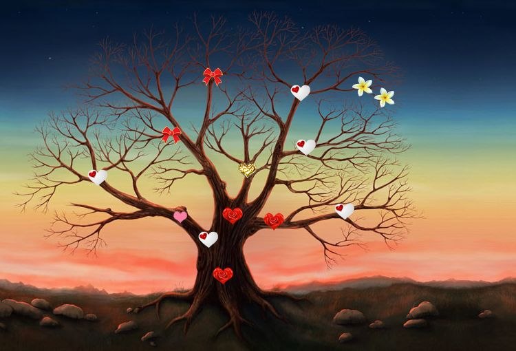 Элис Каленн фотография #20