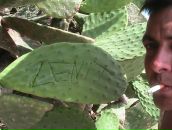 Фотография Сороко Максима