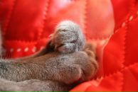 Вера Кушнир фотография #17 (источник - https://vk.com/id1664512)