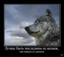 Фотография Художника Сергея