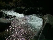 Дмитрий Неруш фотография #39 (источник - https://vk.com/id1175015)