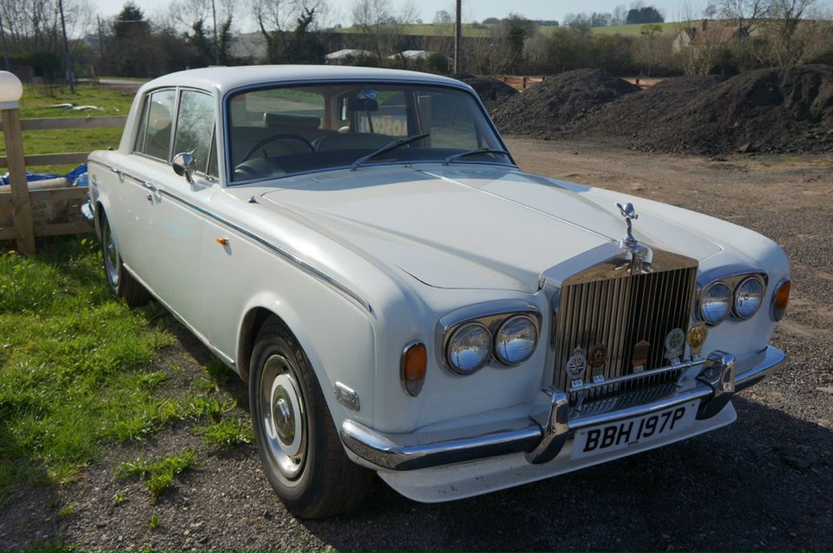 Марс Олейник фотография #40