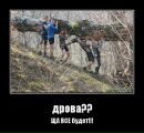 Фотография Павел Елисеев