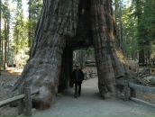 Alan Toose фотография #17 (источник - https://vk.com/id3443297)