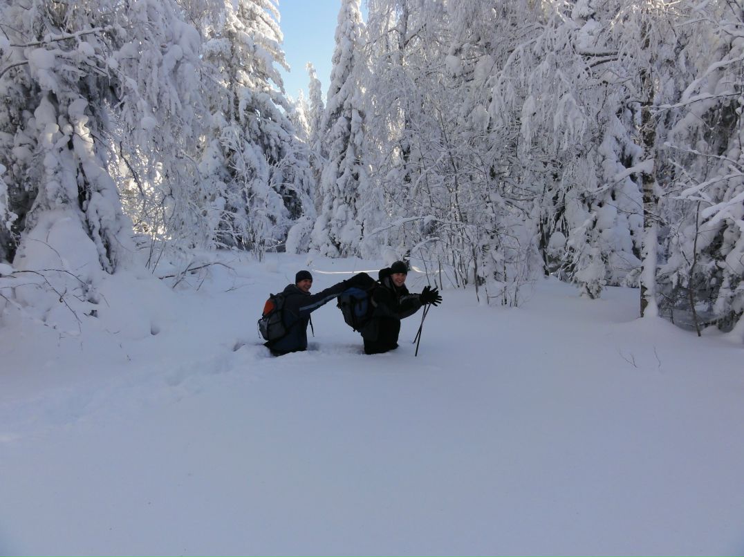 Дмитрий Трушков фотография #17