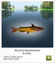 Людмила Бабікова фотография #28 (источник - https://vk.com/id155289329)