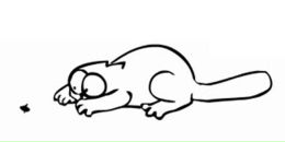 Алла Логашенко фотография #26 (источник - https://vk.com/id2165940)