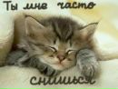 Фотография Висленко Григория