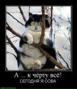 Діма Петрович фотография #38 (источник - https://vk.com/id87740300)