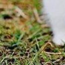 Вєталь Серйозний фотография #36 (источник - https://vk.com/id136859700)